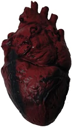 PMU Realistic Fake Heart Halloween Prop