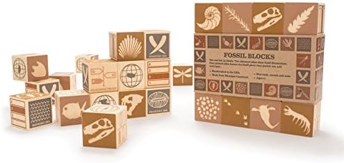 Uncle Goose Fossil Blocks - USA Made 175 Inch Cubes