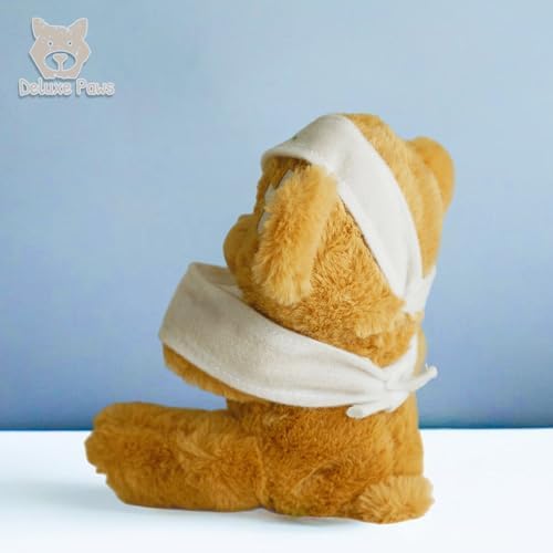 Deluxe Paws Eco Plush Graduation Bear 100 Recycled