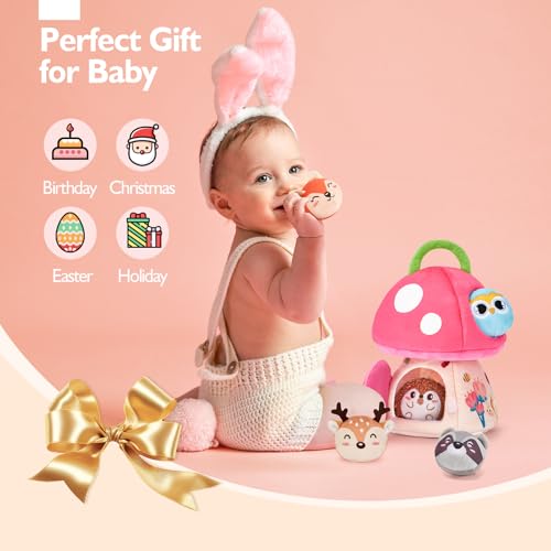 Hahaland Baby Girl 6-12 Months Sensory Toy Set