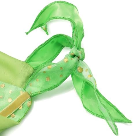 KSISUSH Fairy Costume Princess Dress with Wing Accessories