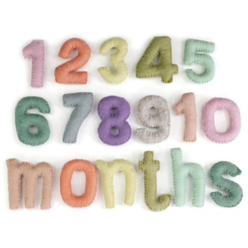 Matthew Mae Monthly Milestone Felt Number Set 0-9