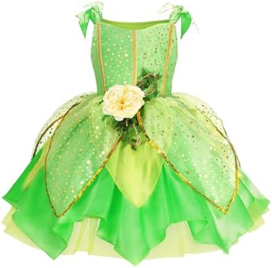KSISUSH Fairy Costume Princess Dress with Wing Accessories