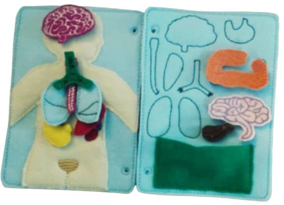 Handmade Felt Anatomy Quiet Book Page