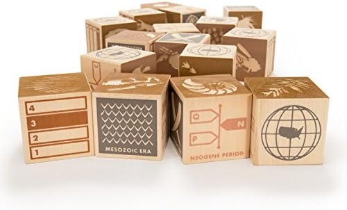 Uncle Goose Fossil Blocks - USA Made 175 Inch Cubes