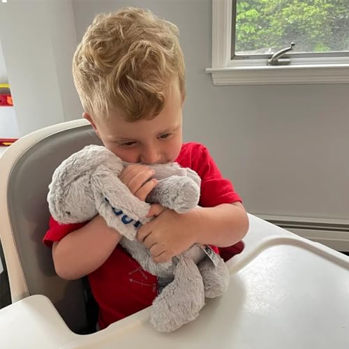 Custom Embroidered Plush Bunny Rabbit with Childs Name