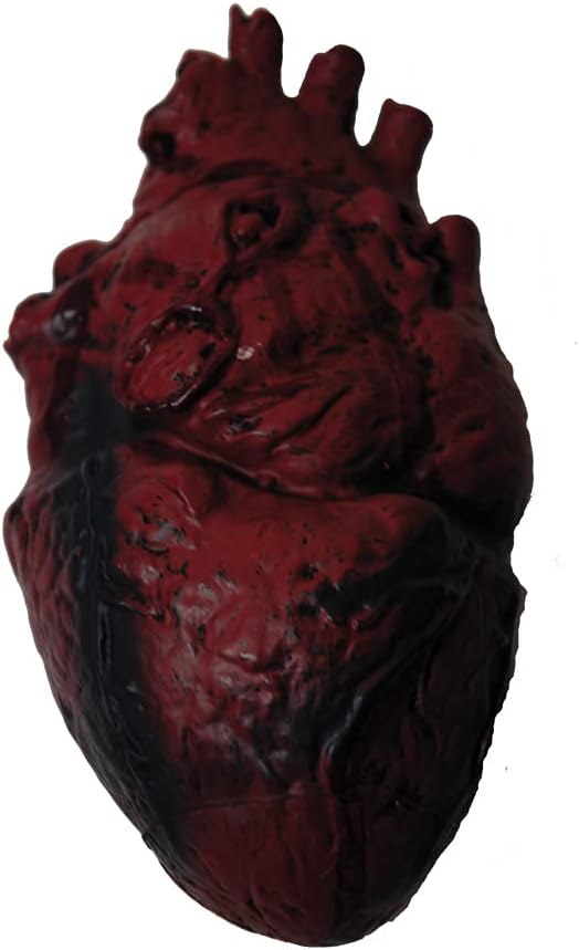 PMU Realistic Fake Heart Halloween Prop
