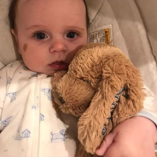 Personalized Embroidered Plush Dog Toy with Babys Name