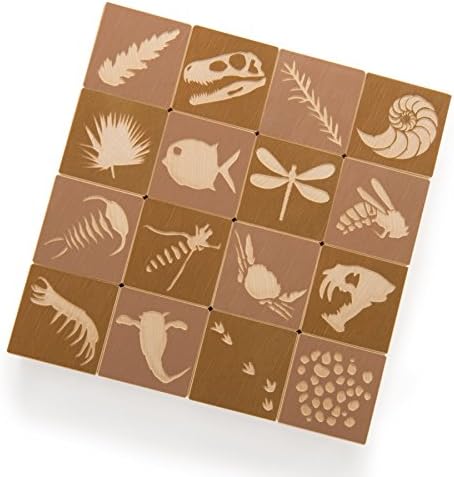 Uncle Goose Fossil Blocks - USA Made 175 Inch Cubes