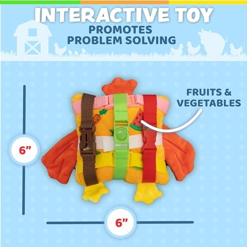 Buckle Toys - BokBok Chicken Learning Toy 1