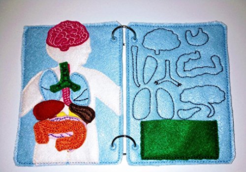 Handmade Felt Anatomy Quiet Book Page