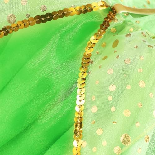 KSISUSH Fairy Costume Princess Dress with Wing Accessories