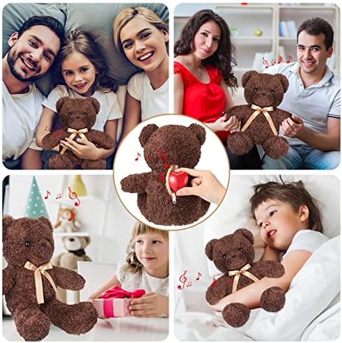 Hungdao Plush Bear with 60-Second Heart Voice Recorder