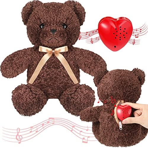Hungdao Plush Bear with 60-Second Heart Voice Recorder