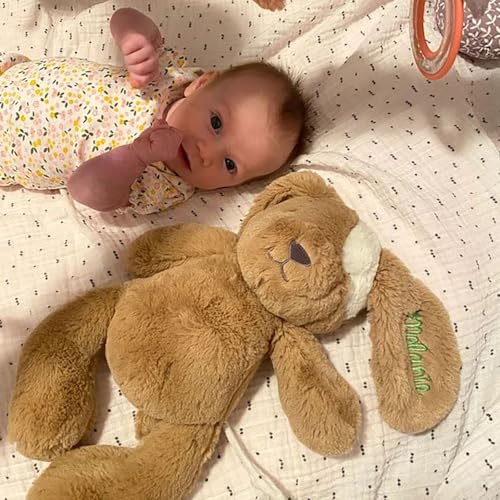 Personalized Embroidered Plush Dog Toy with Babys Name