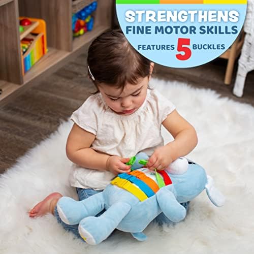 Buckle Toys Barkley Dog Sensory Learning Toy for Toddlers
