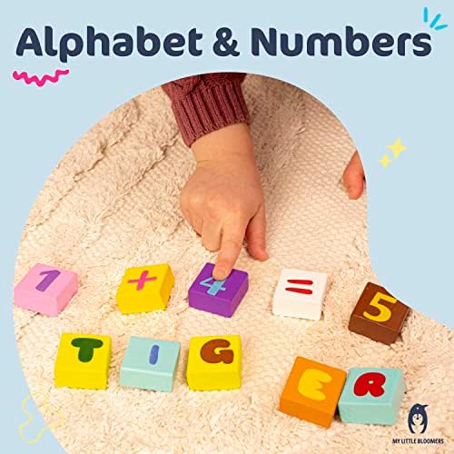106 Piece Wooden Blocks Set for Kids