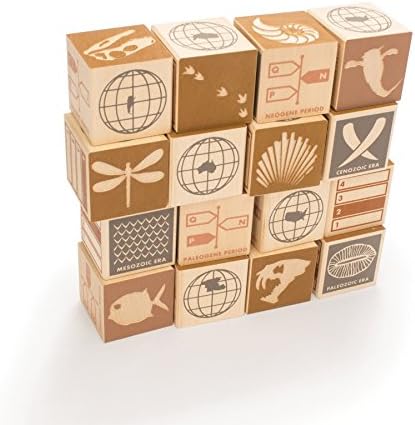Uncle Goose Fossil Blocks - USA Made 175 Inch Cubes