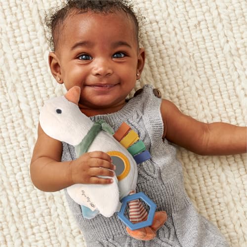 Itzy Ritzy Bitzy Traveler Car Seat Stroller Toy Goose