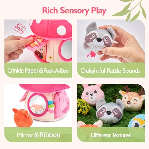Hahaland Baby Girl 6-12 Months Sensory Toy Set