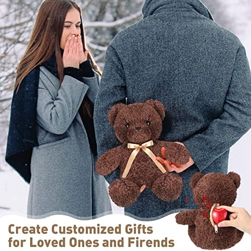 Hungdao Plush Bear with 60-Second Heart Voice Recorder
