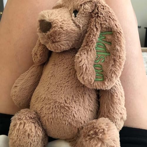 Personalized Embroidered Plush Dog Toy with Babys Name