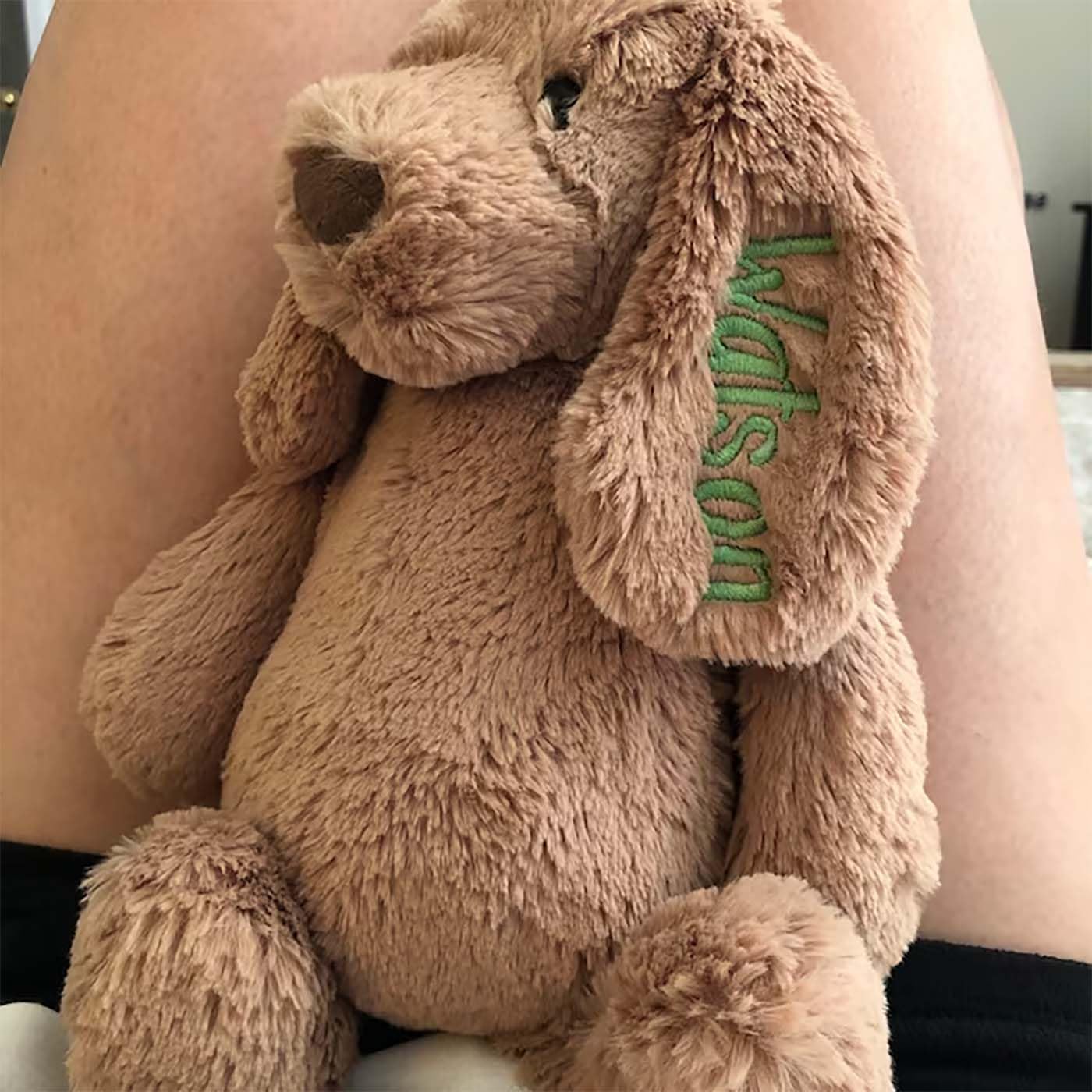 Personalized Embroidered Plush Dog Toy with Babys Name
