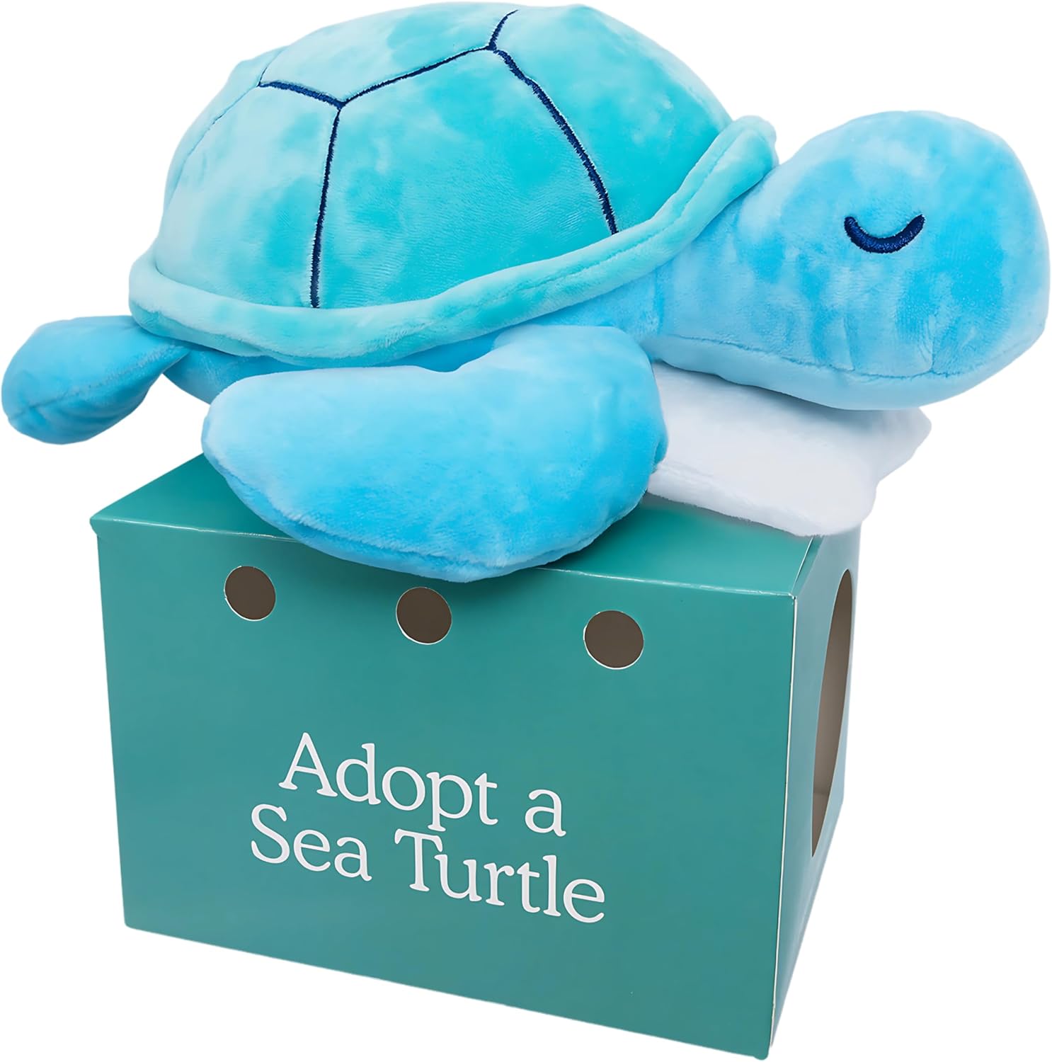 Sam The Sea Turtle Plush with Pillow - 10 Adopt Me Plush