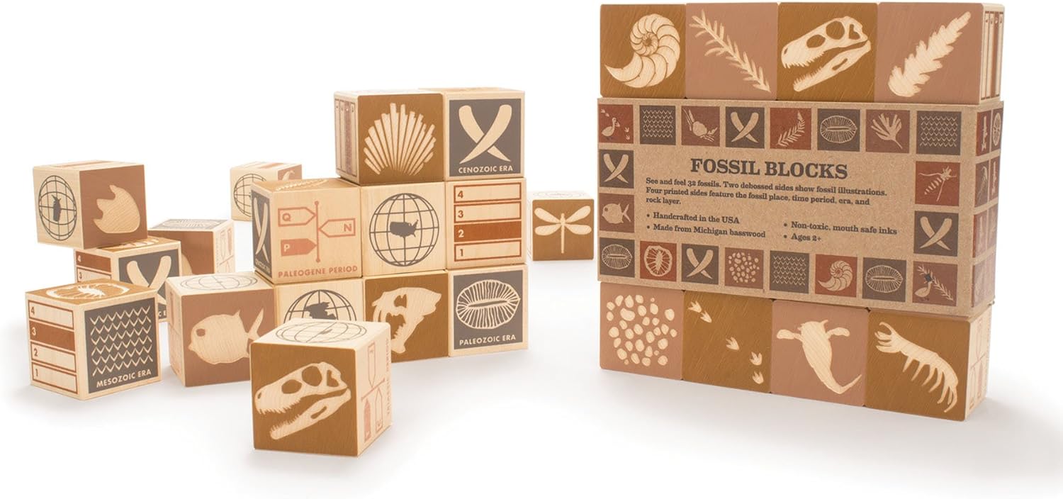 Uncle Goose Fossil Blocks - USA Made 175 Inch Cubes