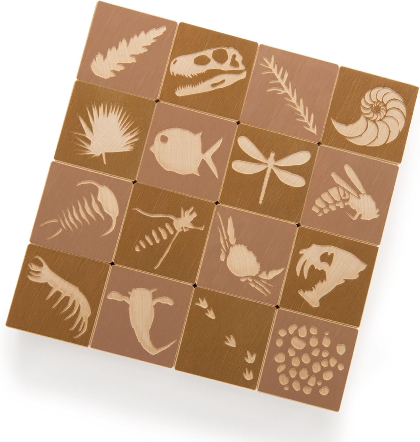 Uncle Goose Fossil Blocks - USA Made 175 Inch Cubes